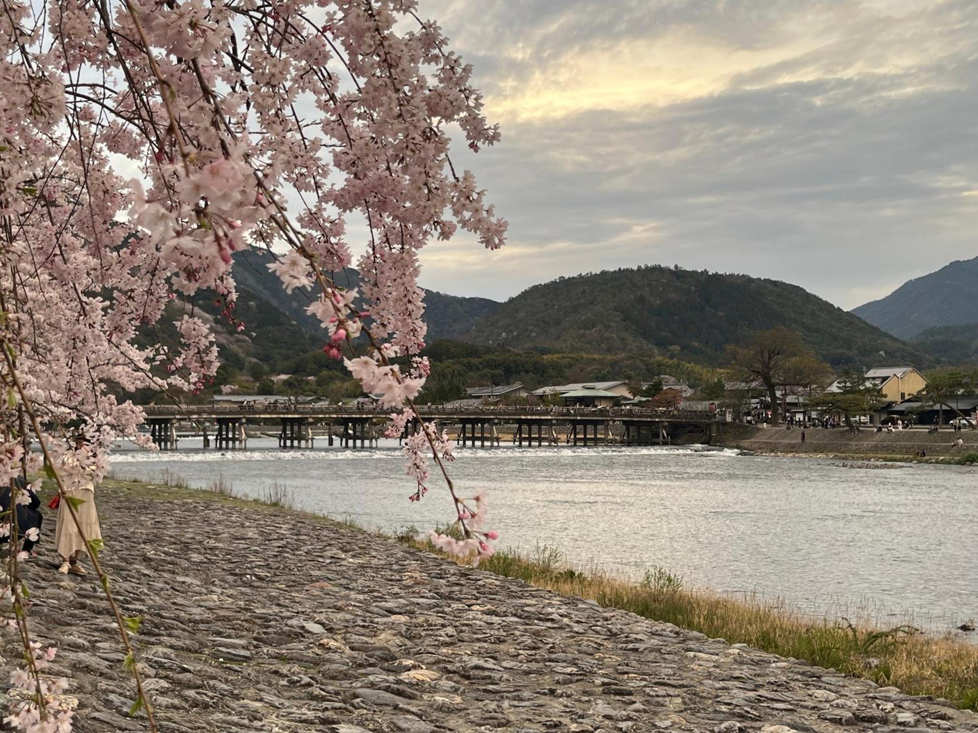 嵐山 天龍の宿 駐車無料 一棟貸切 最大5人 Dragon Legend Arashiyama Central Private Rare Modern Villa Free Parking Max 5Ppl Shimosaga Exterior photo